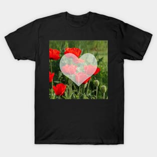 Popies at Flanders field T-Shirt